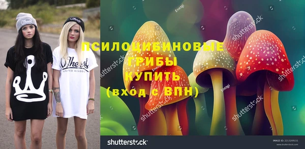 Альфа ПВП Пересвет