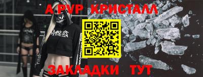 стаф Славгород
