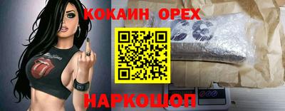стаф Славгород