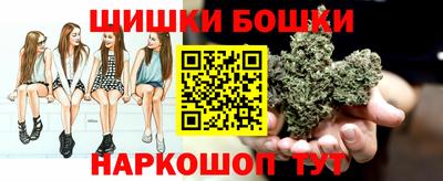 стаф Славгород