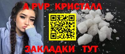 стаф Славгород