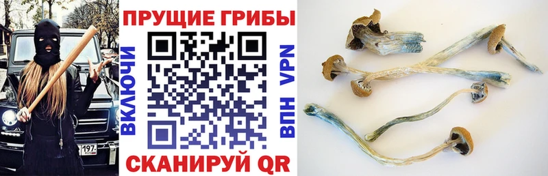 ОМГ ОМГ ССЫЛКА  Симферополь  Галлюциногенные грибы ЛСД  наркота 