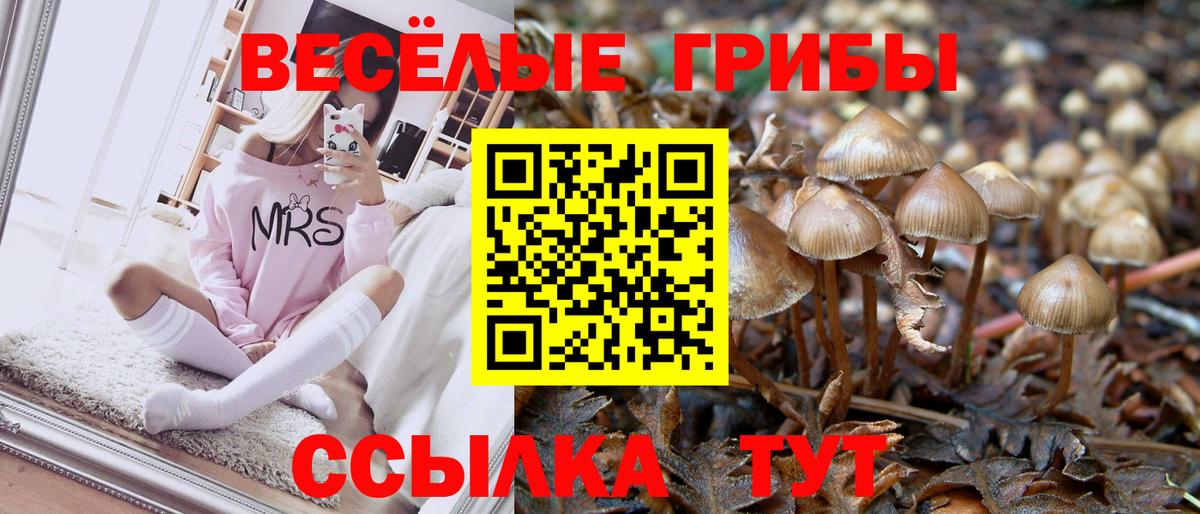 Галлюциногенные грибы Magic Shrooms Симферополь